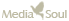 mediasoul